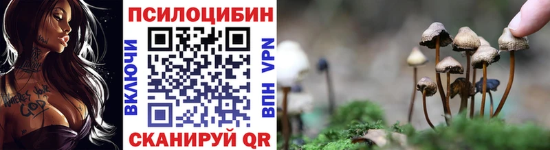 наркошоп  ОМГ ОМГ вход  Псилоцибиновые грибы GOLDEN TEACHER  Элиста 