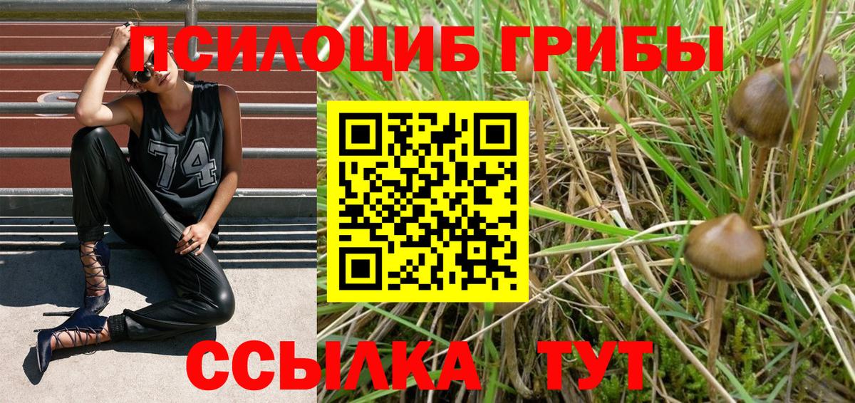 Галлюциногенные грибы мухоморы Элиста