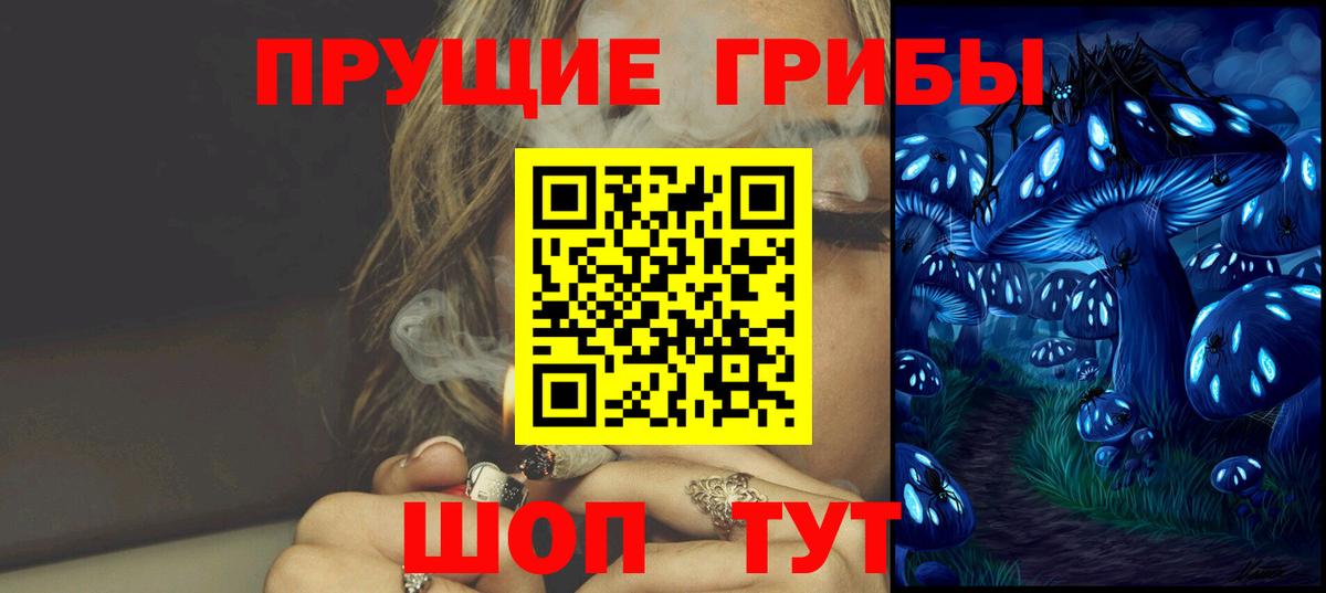 Псилоцибиновые грибы Psilocybine cubensis  Вход с VPN  Псилоцибиновые грибы MAGIC MUSHROOMS  Элиста 